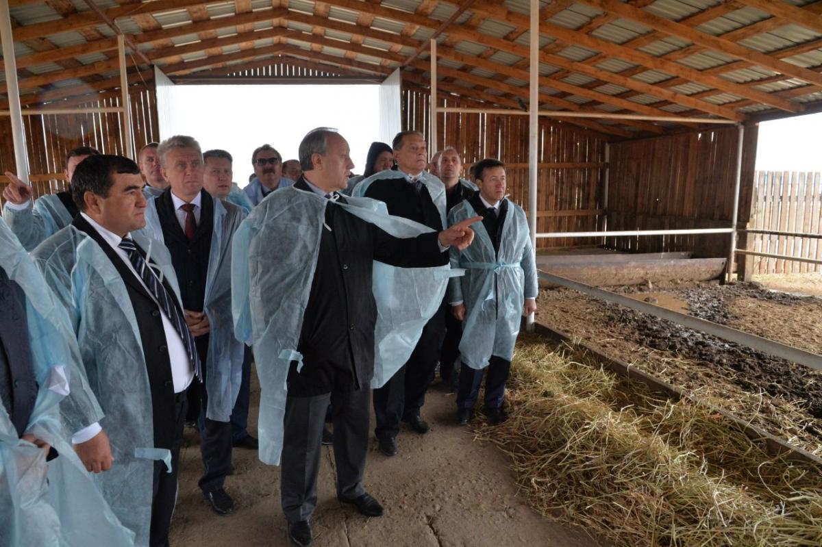 Saratov state agricultural university took part in the seminar on livestock development in Saratov region. Фото 5