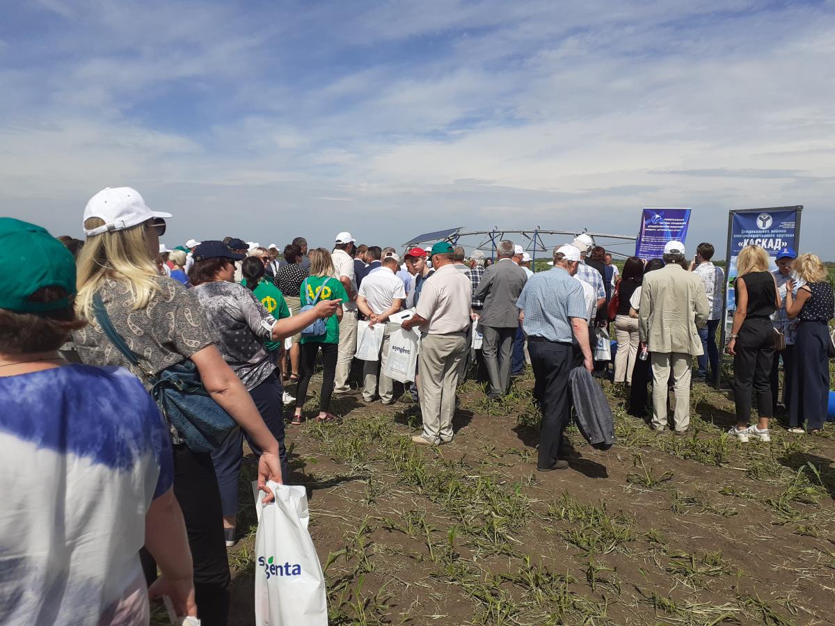 "Field Day 2019" in the Saratov State Agrarian University. Фото 6